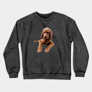 Irish Setter Puppy Dog Crewneck Sweatshirt